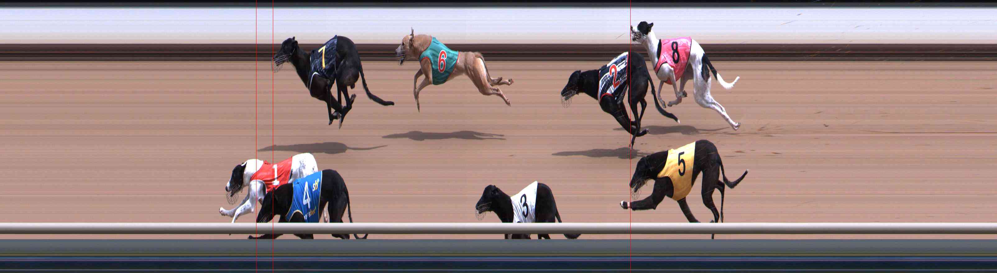 Photo finish for Healesville Race 7