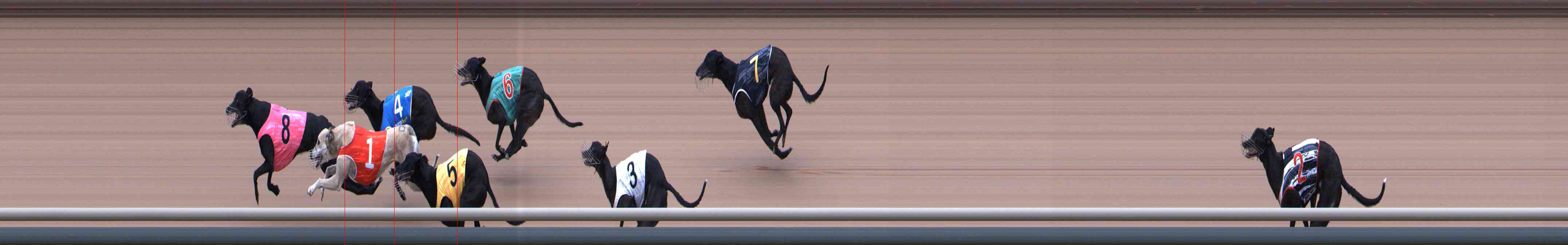 Photo finish for Healesville Race 8