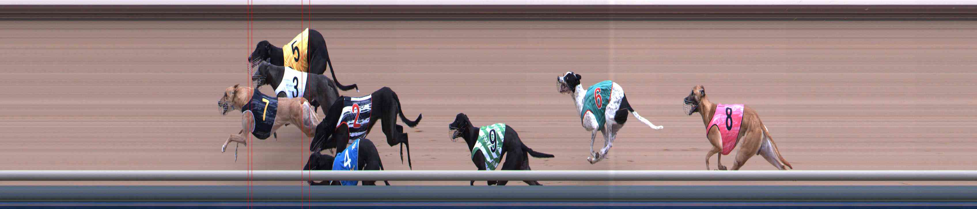 Photo finish for Healesville Race 9