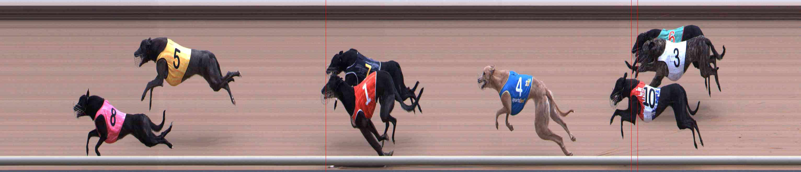 Photo finish for Healesville Race 10