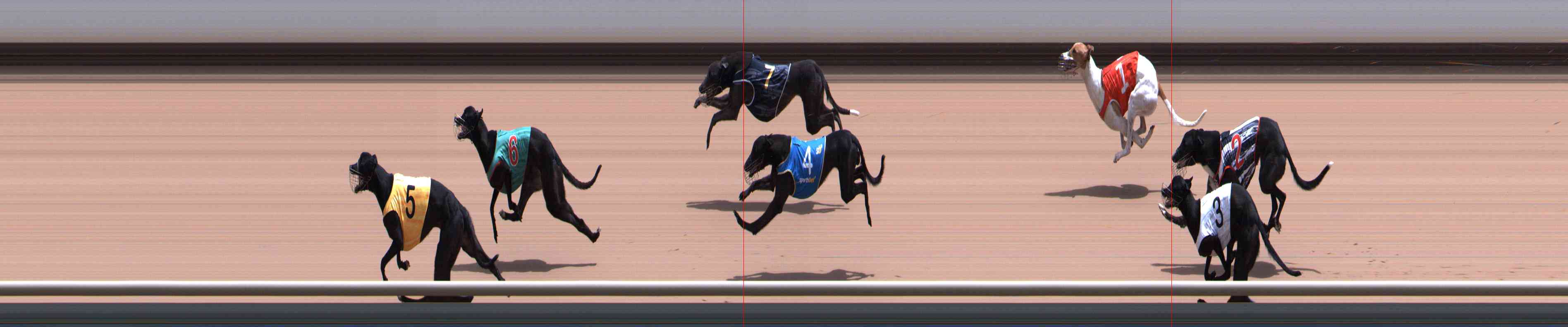 Photo finish for Healesville Race 11