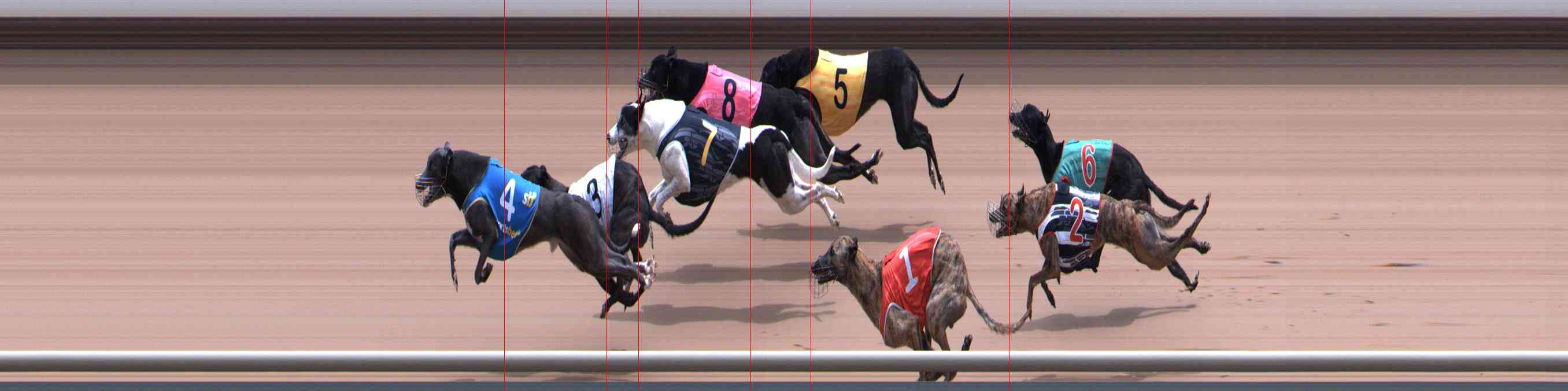 Photo finish for Healesville Race 12