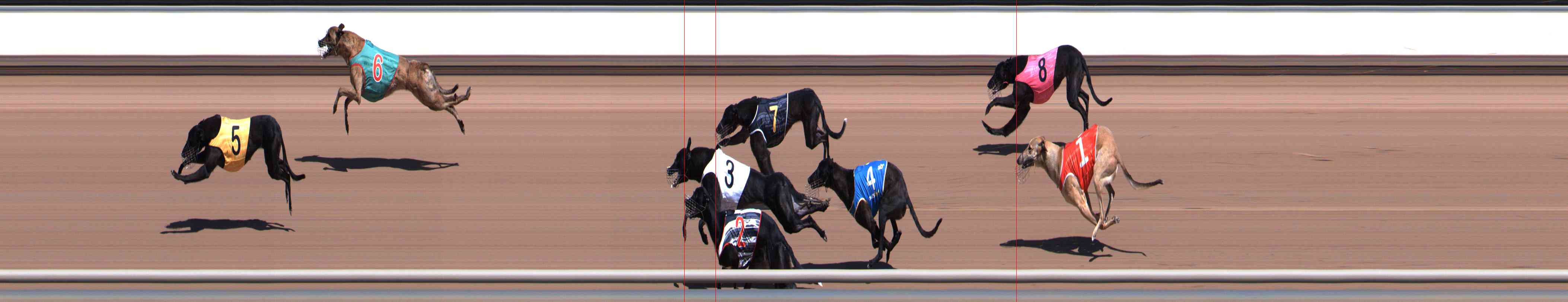 Photo finish for Healesville Race 1