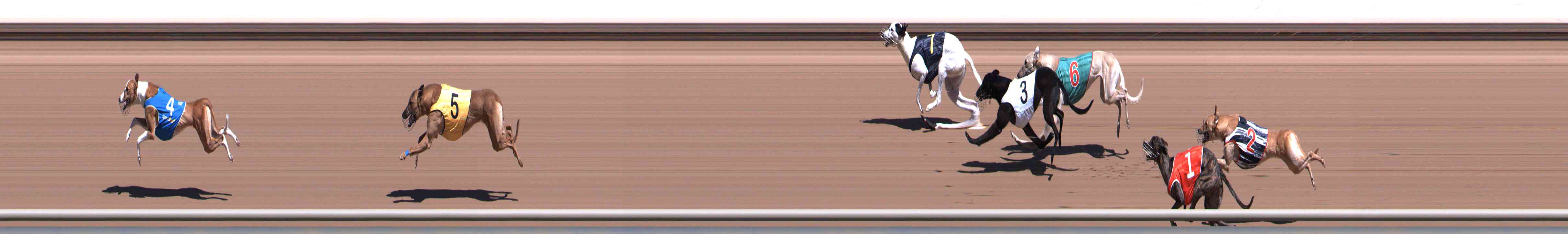 Photo finish for Healesville Race 2