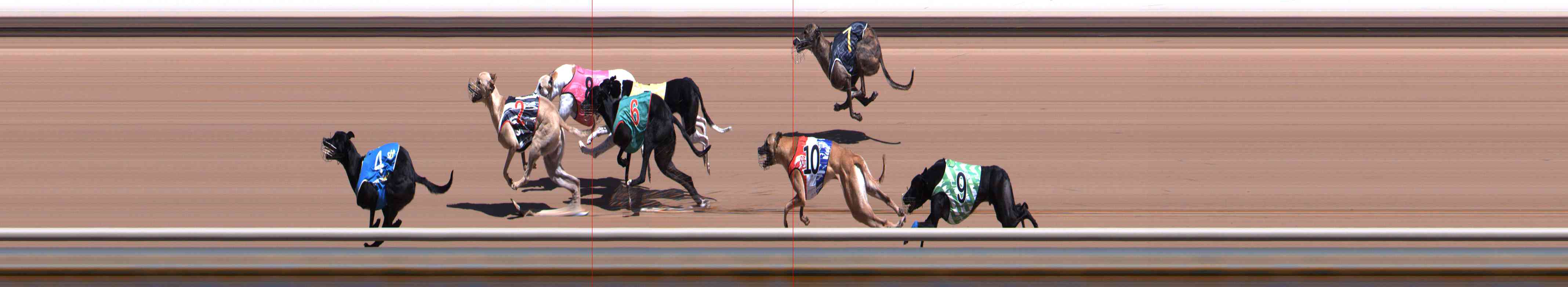 Photo finish for Healesville Race 3