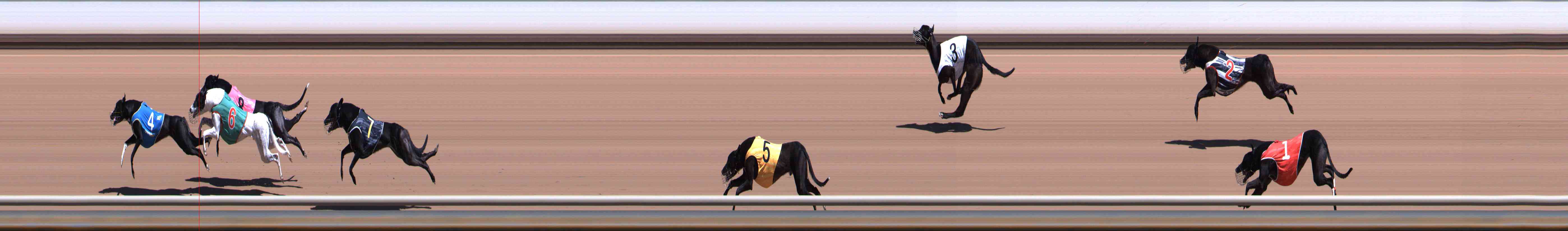 Photo finish for Healesville Race 4