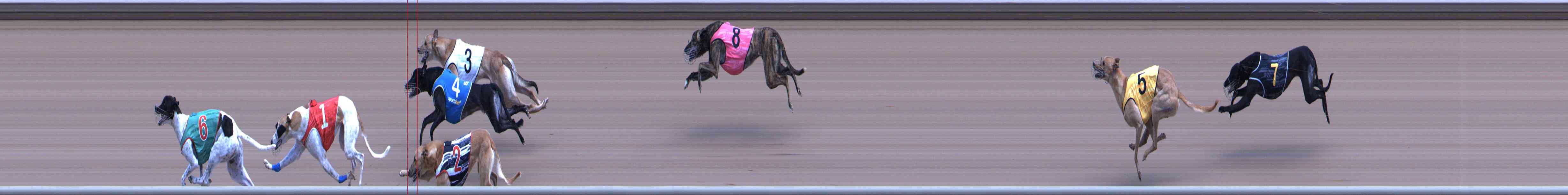Photo finish for Healesville Race 5
