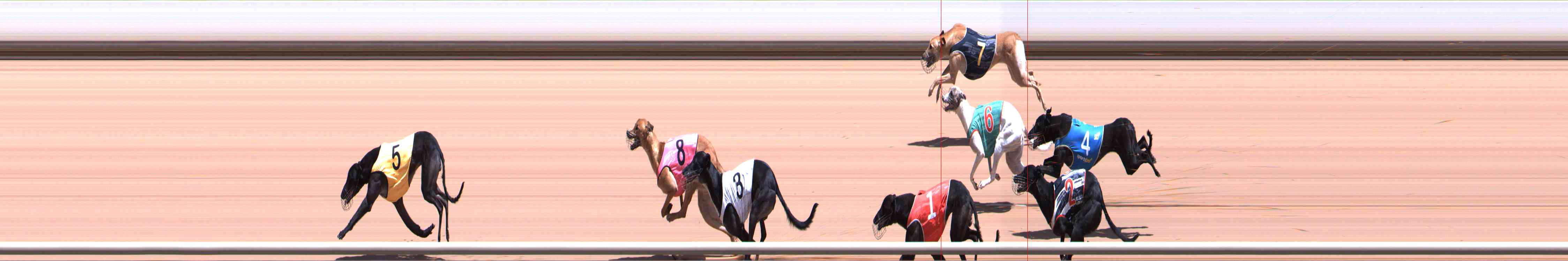 Photo finish for Healesville Race 6