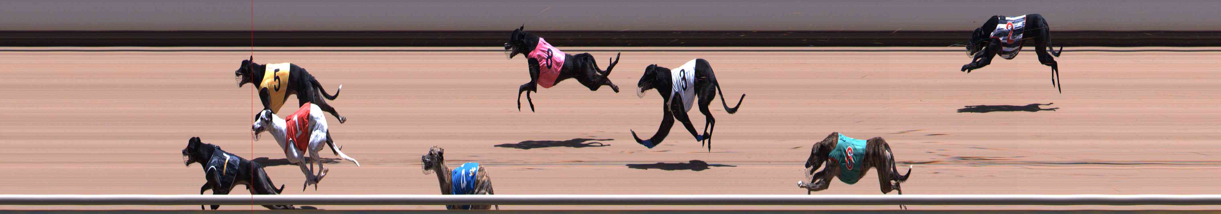 Photo finish for Healesville Race 8