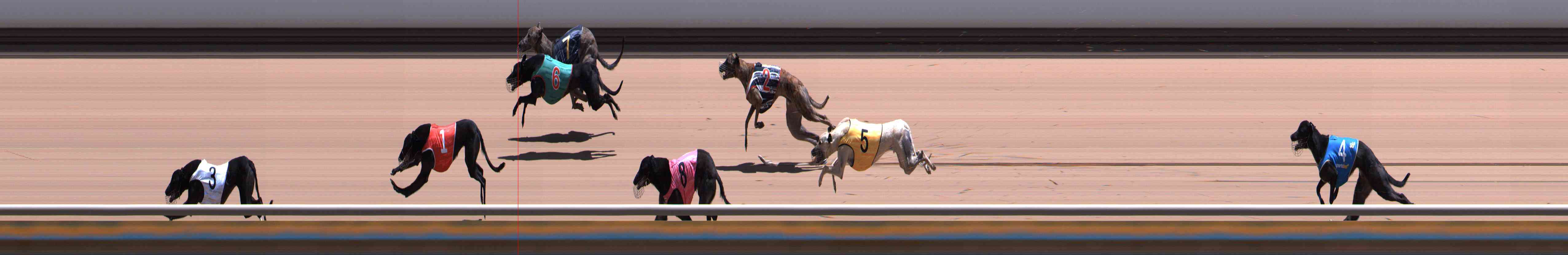 Photo finish for Healesville Race 9