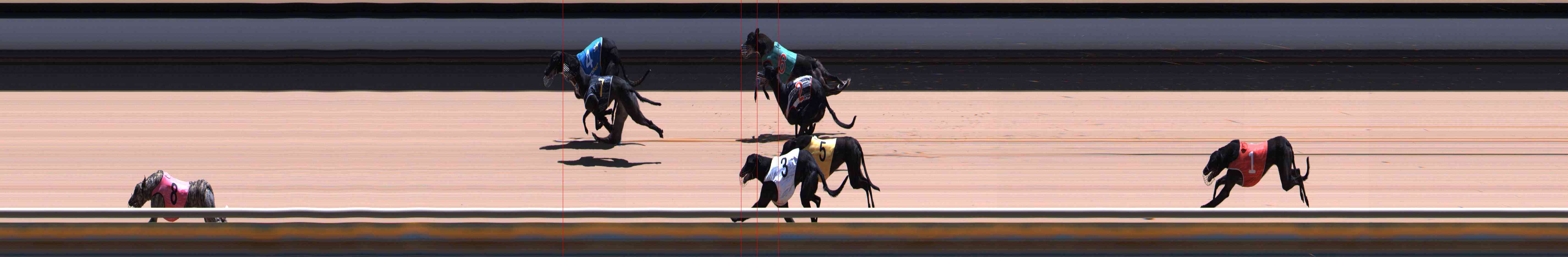 Photo finish for Healesville Race 11