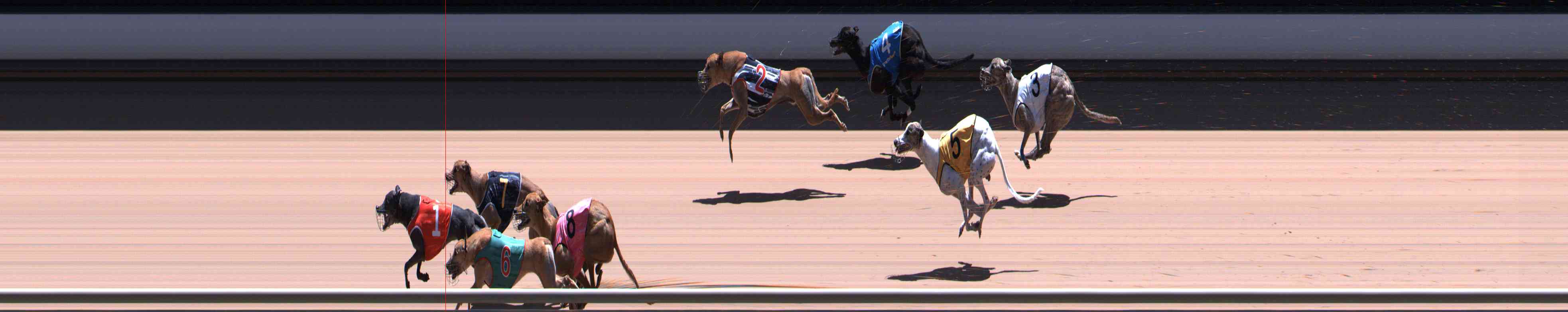 Photo finish for Healesville Race 12