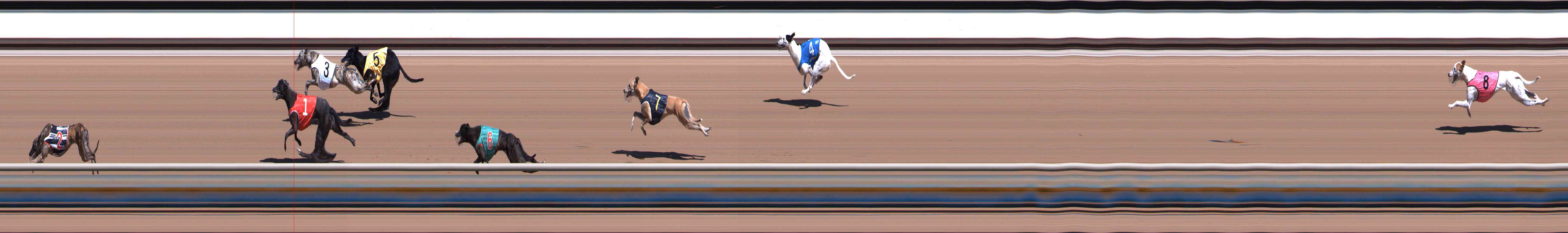 Photo finish for Healesville Race 1
