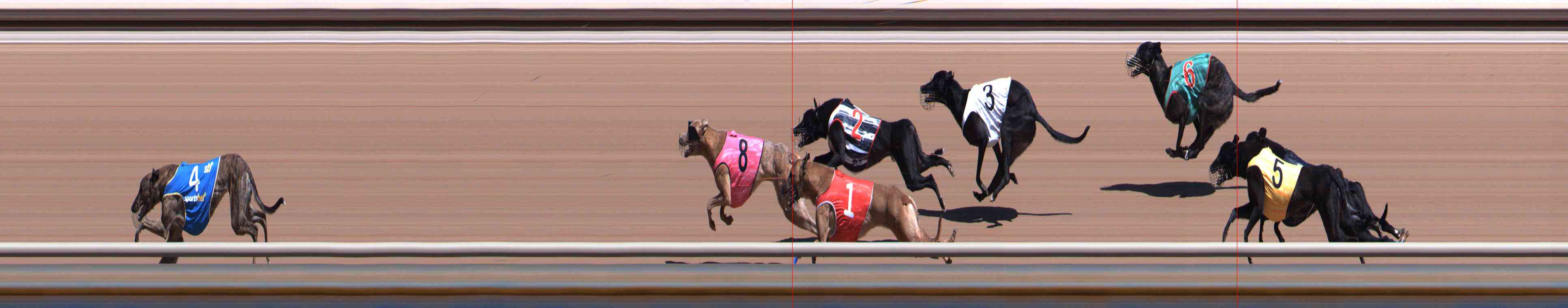 Photo finish for Healesville Race 2