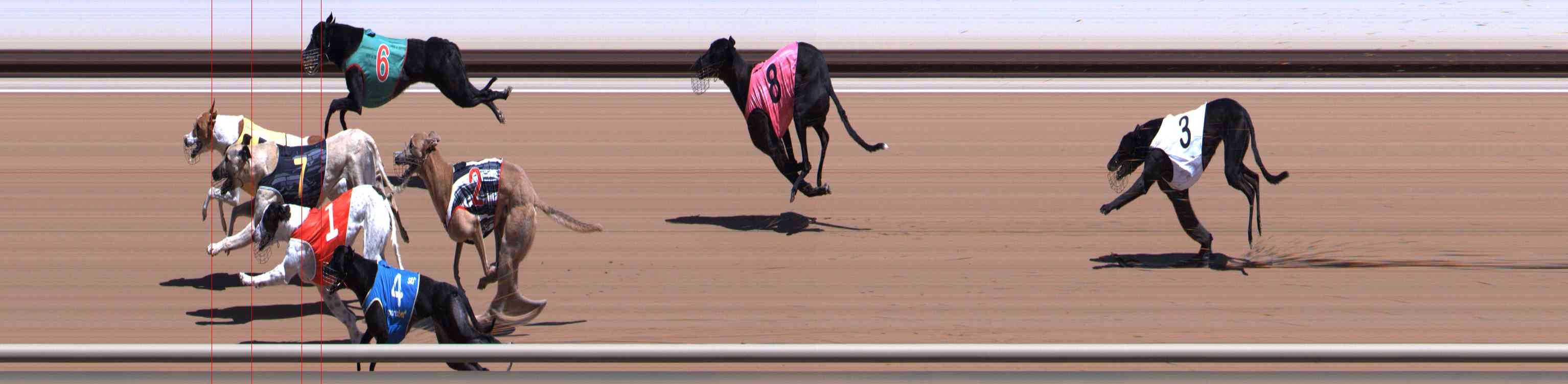 Photo finish for Healesville Race 3