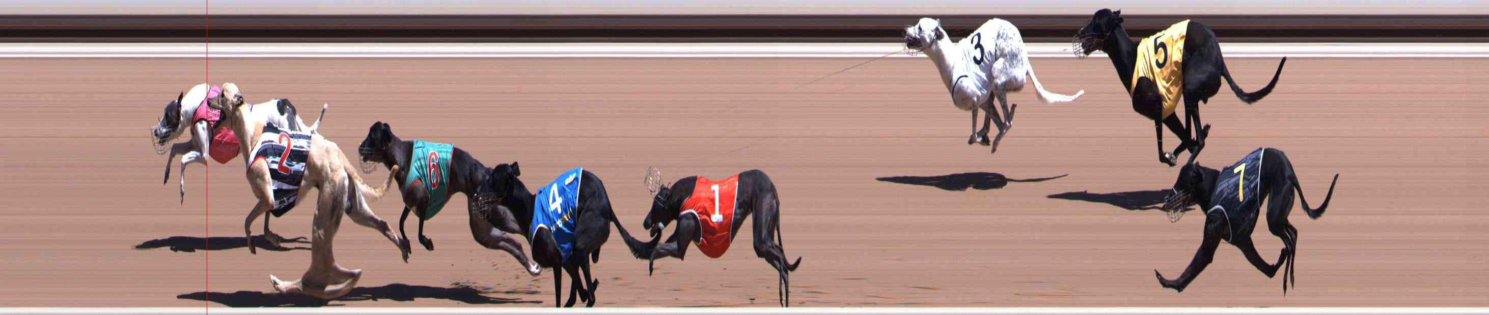 Photo finish for Healesville Race 4