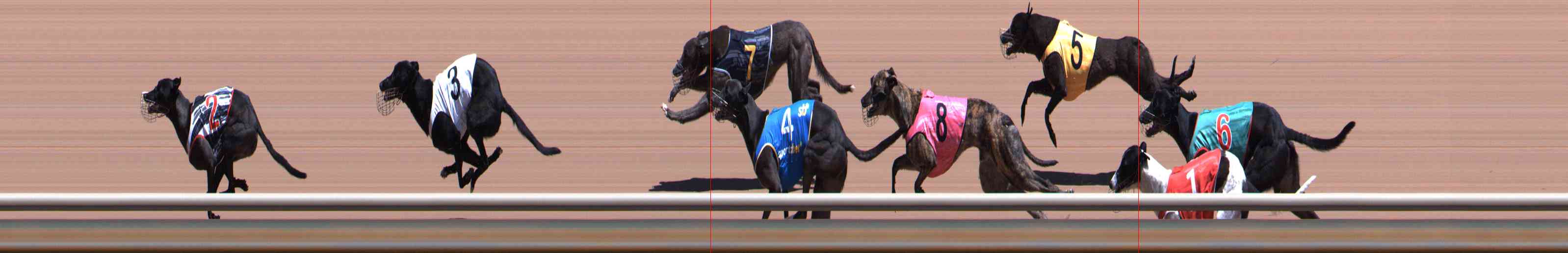 Photo finish for Healesville Race 5