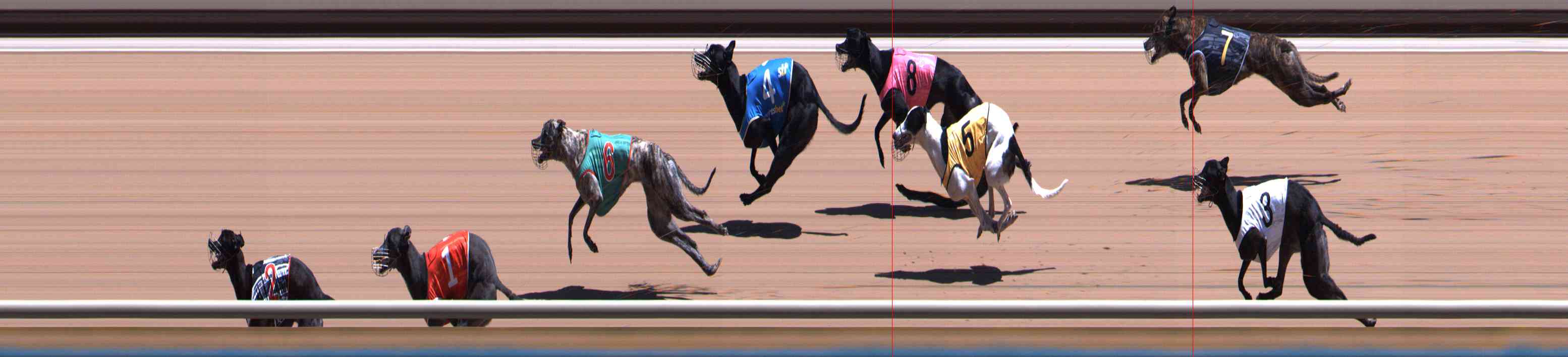 Photo finish for Healesville Race 7