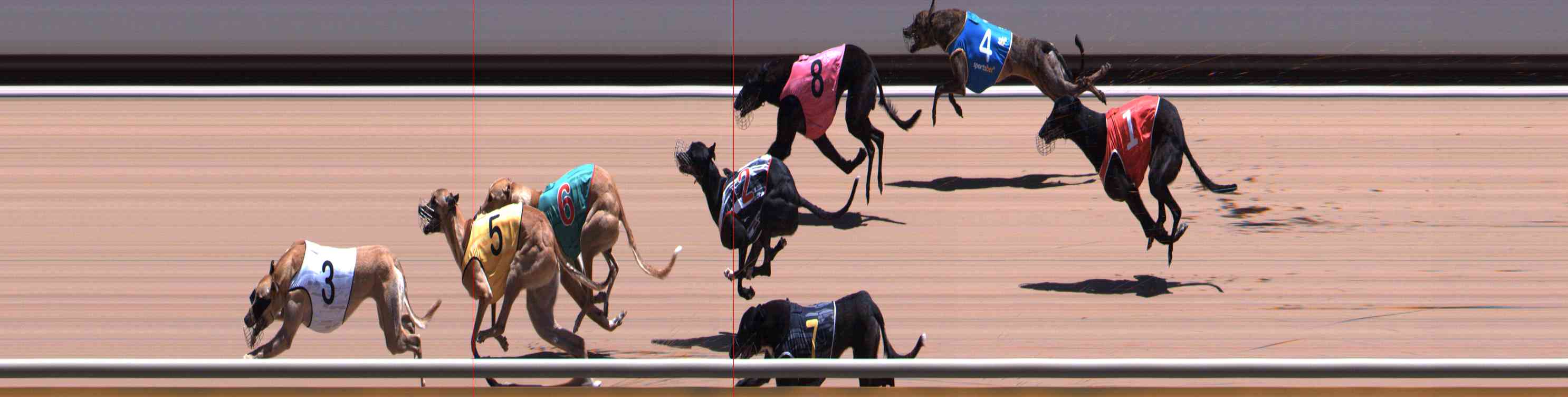 Photo finish for Healesville Race 8