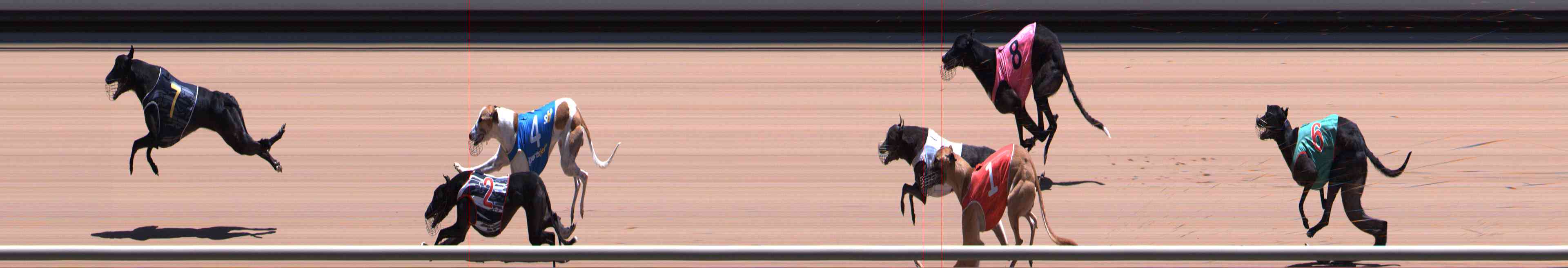 Photo finish for Healesville Race 9