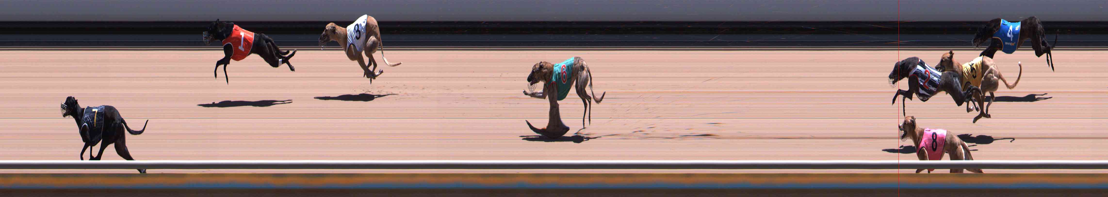 Photo finish for Healesville Race 10