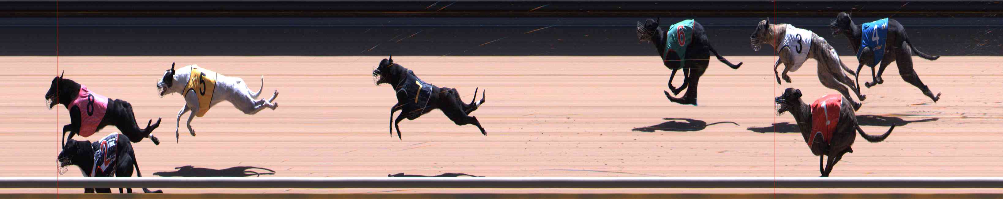 Photo finish for Healesville Race 12