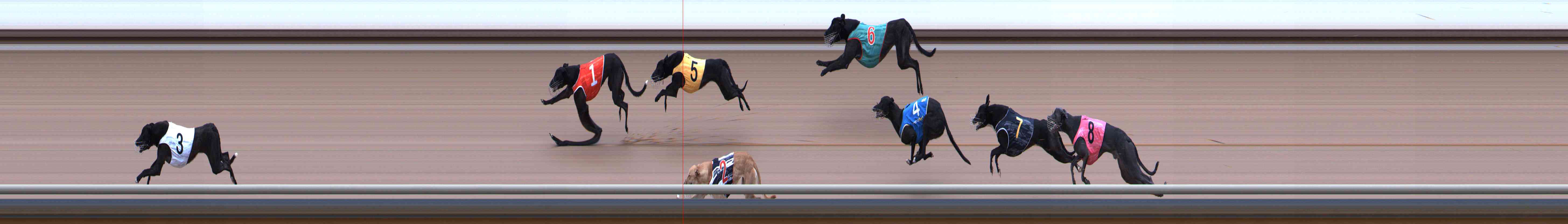 Photo finish for Healesville Race 1