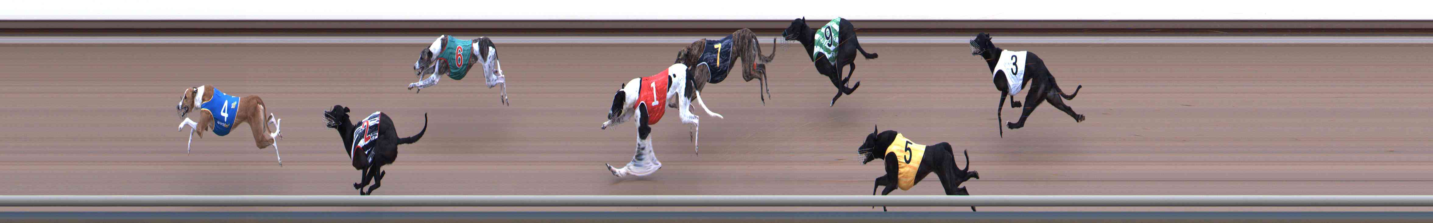 Photo finish for Healesville Race 2