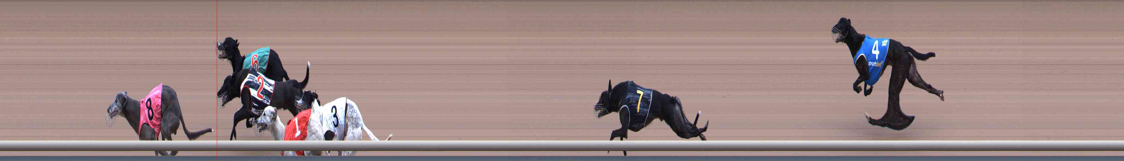 Photo finish for Healesville Race 3