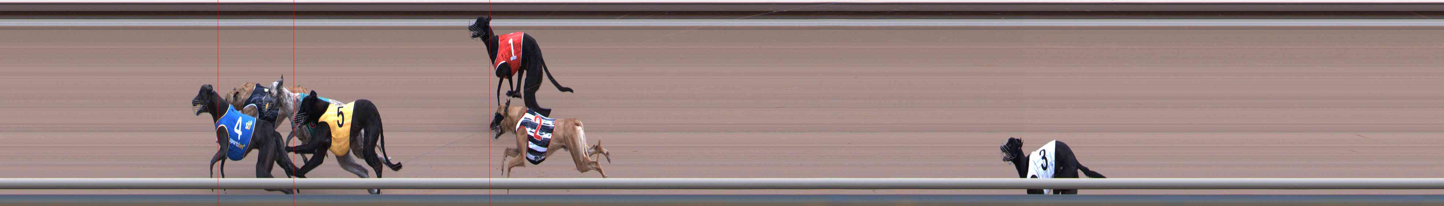 Photo finish for Healesville Race 4