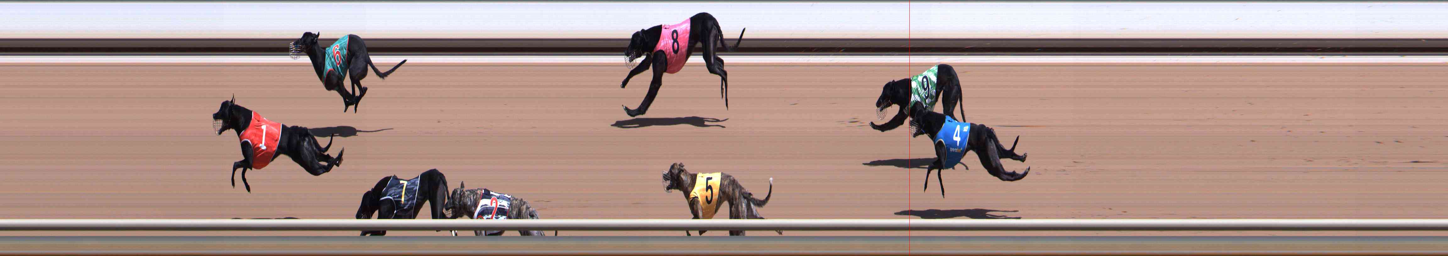 Photo finish for Healesville Race 6