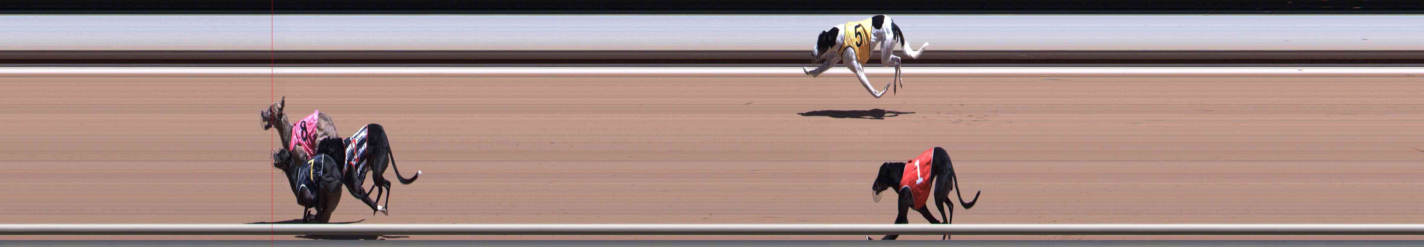 Photo finish for Healesville Race 7