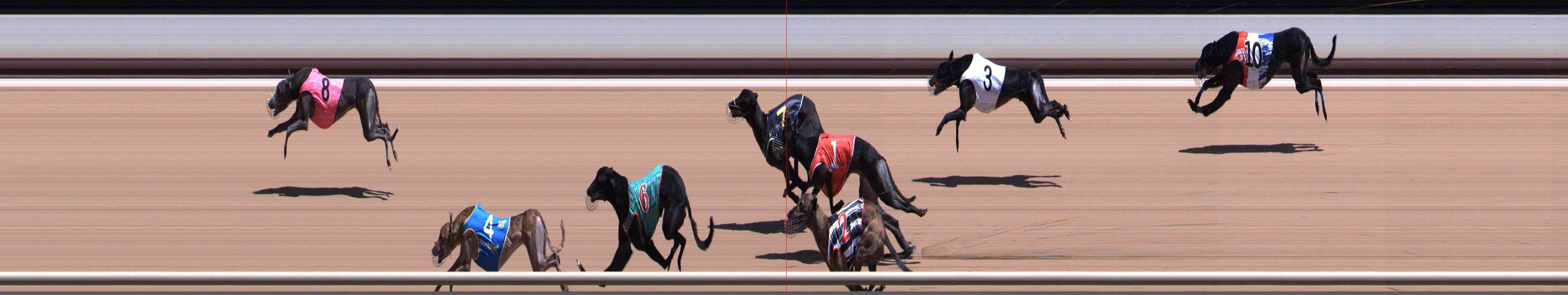 Photo finish for Healesville Race 8