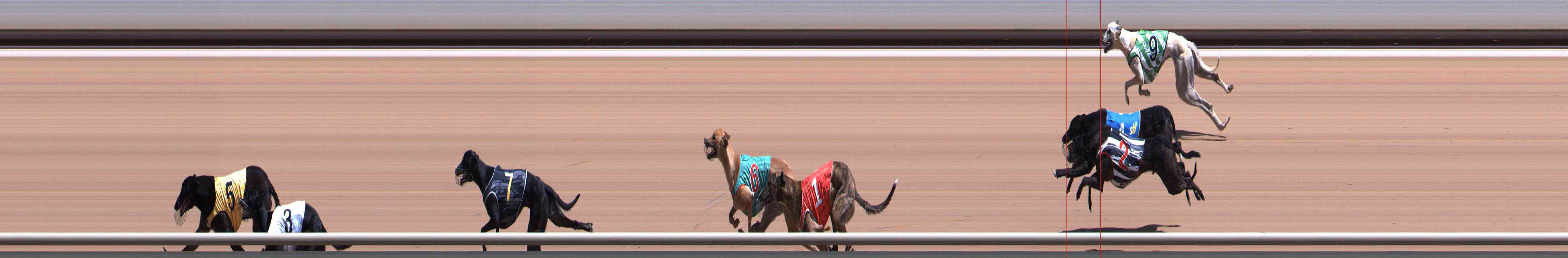 Photo finish for Healesville Race 9