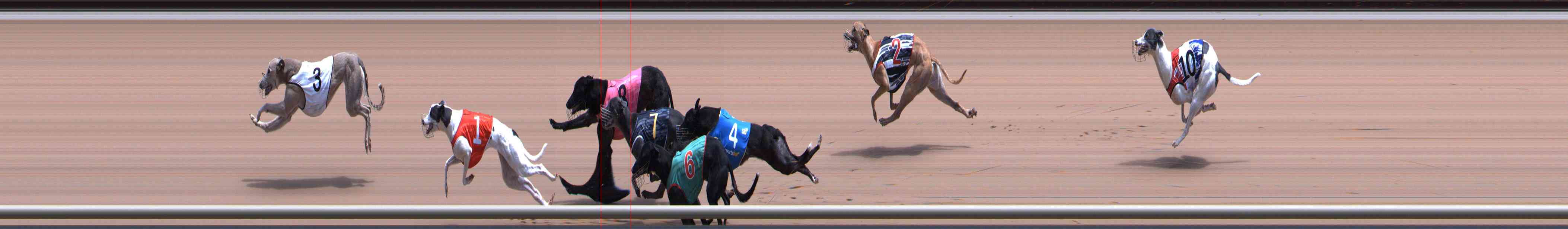 Photo finish for Healesville Race 10