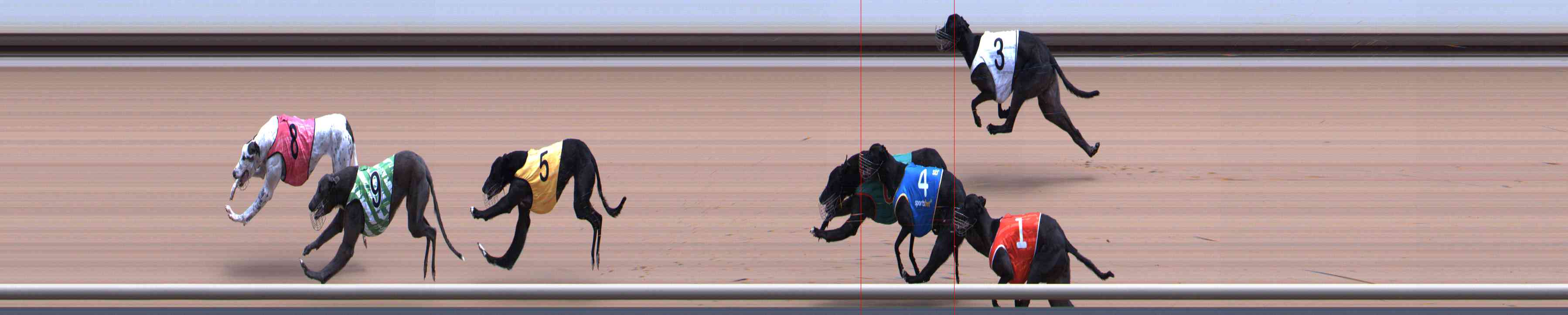 Photo finish for Healesville Race 11