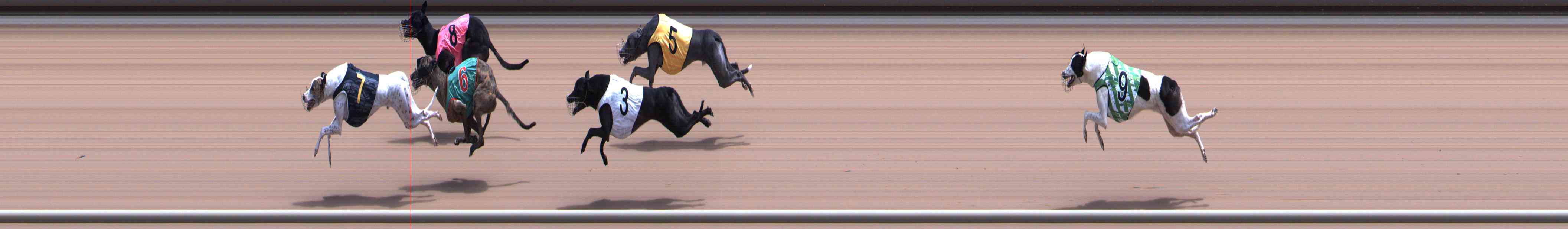 Photo finish for Healesville Race 12