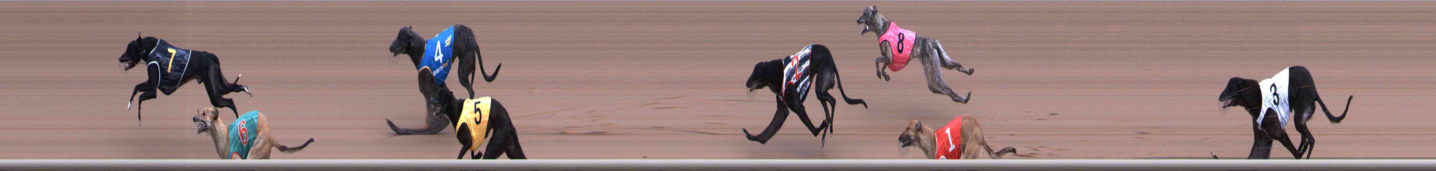 Photo finish for Healesville Race 1
