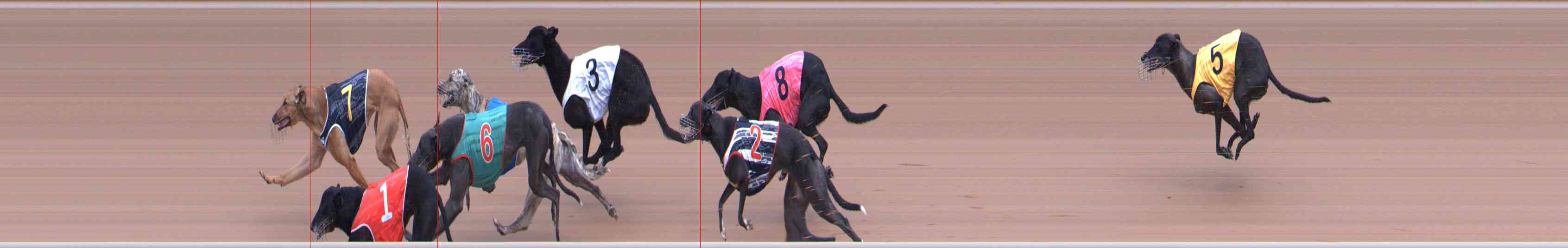 Photo finish for Healesville Race 2