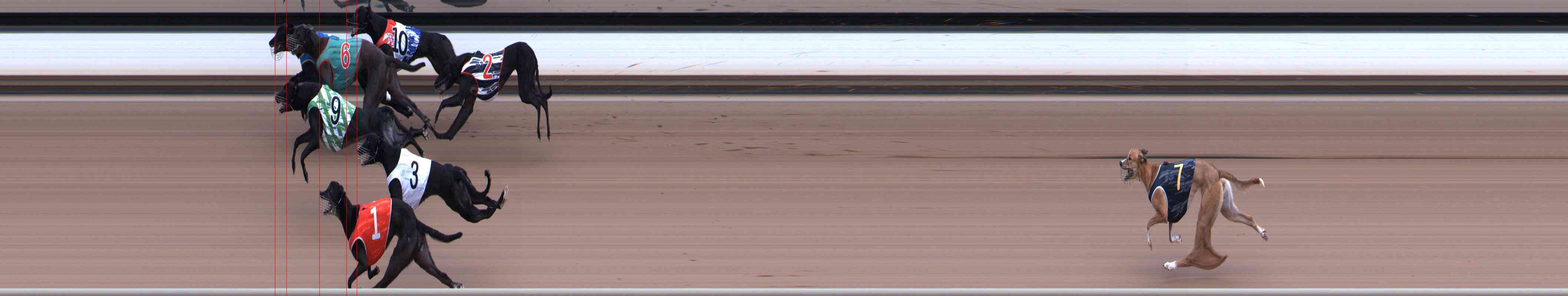 Photo finish for Healesville Race 3