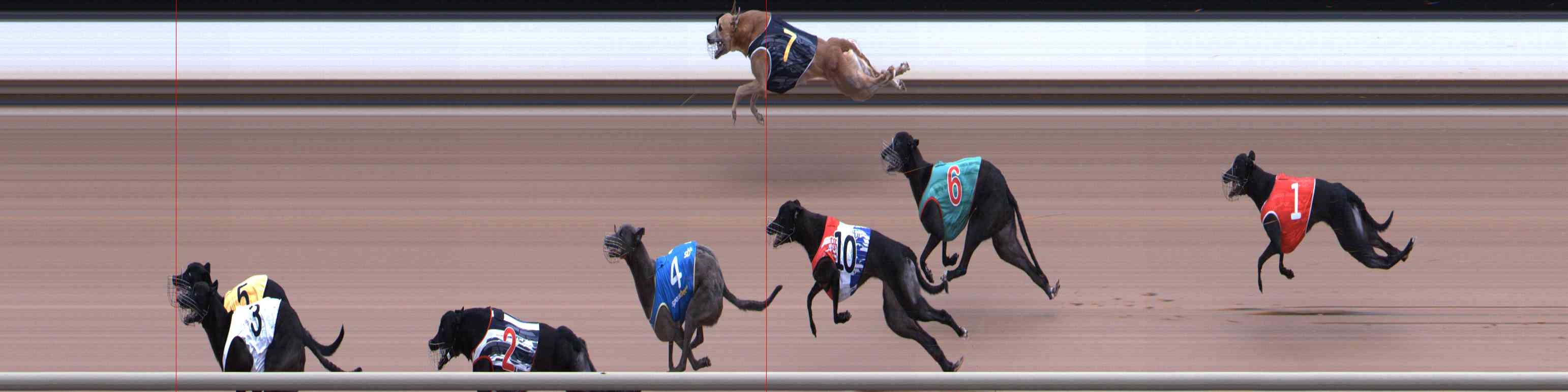 Photo finish for Healesville Race 4