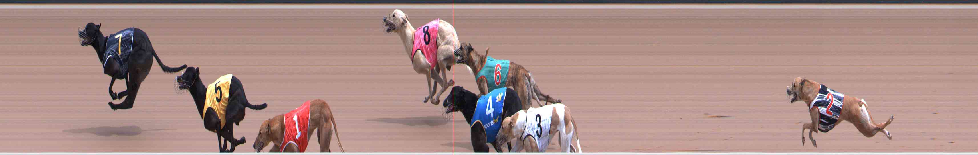 Photo finish for Healesville Race 5