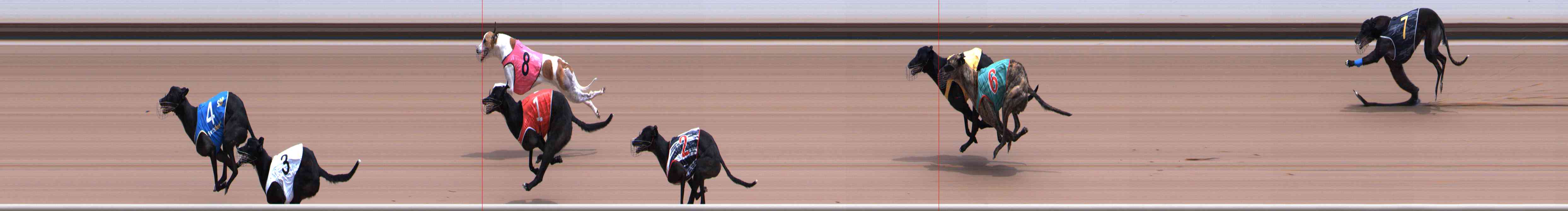 Photo finish for Healesville Race 6
