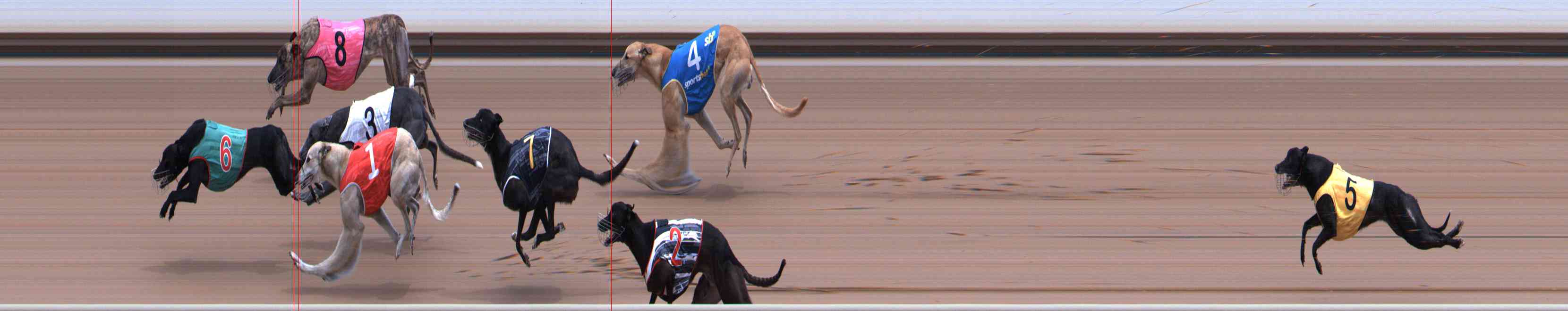 Photo finish for Healesville Race 7