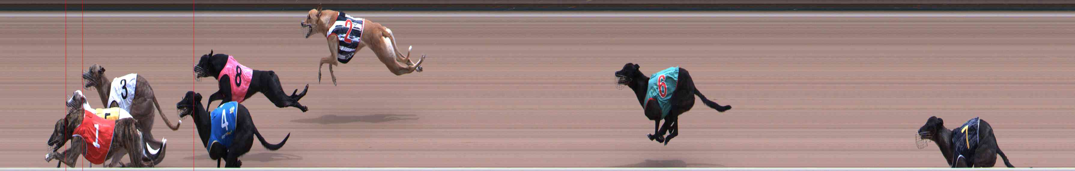 Photo finish for Healesville Race 8