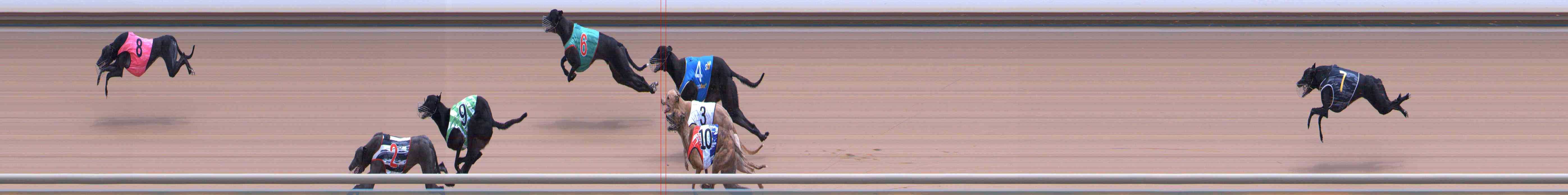 Photo finish for Healesville Race 9
