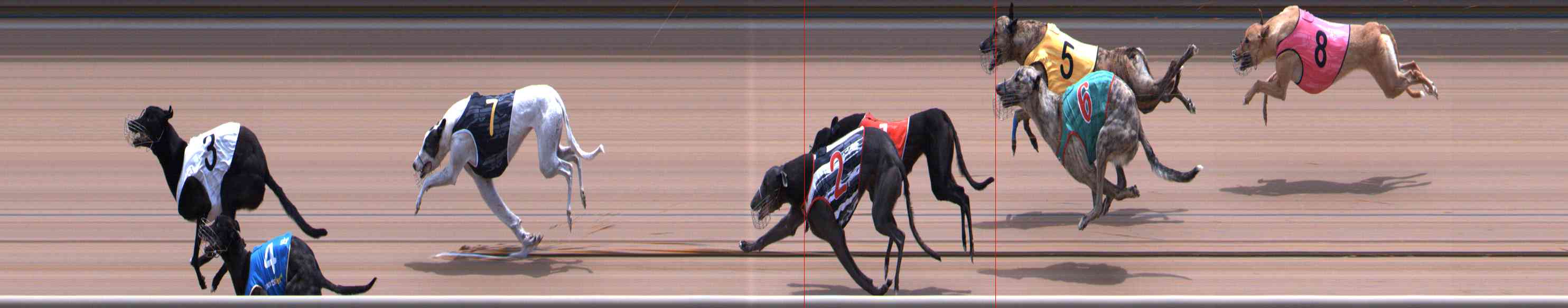 Photo finish for Healesville Race 10