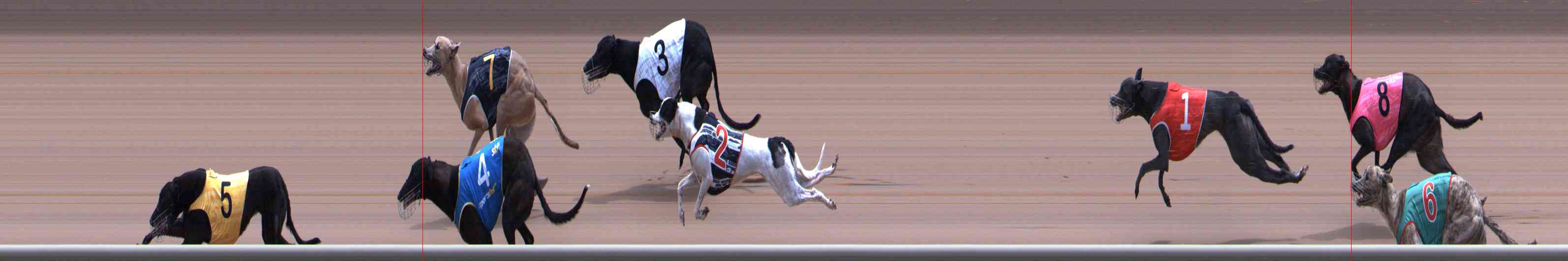 Photo finish for Healesville Race 11