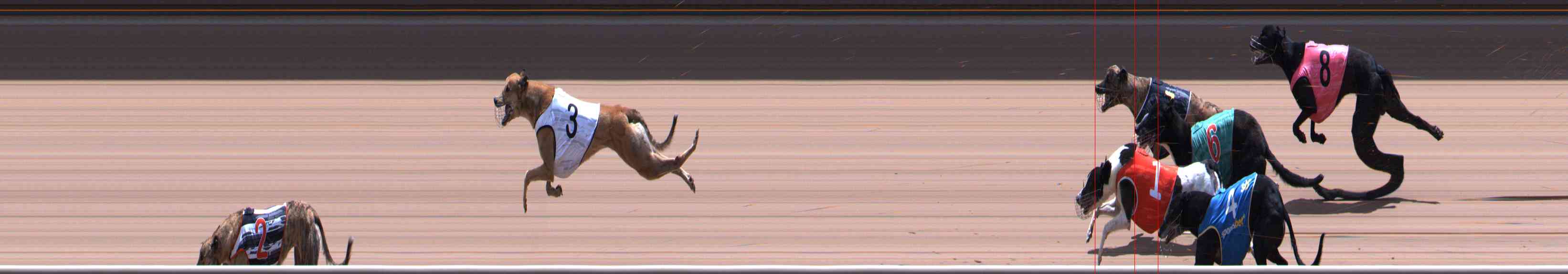 Photo finish for Healesville Race 12