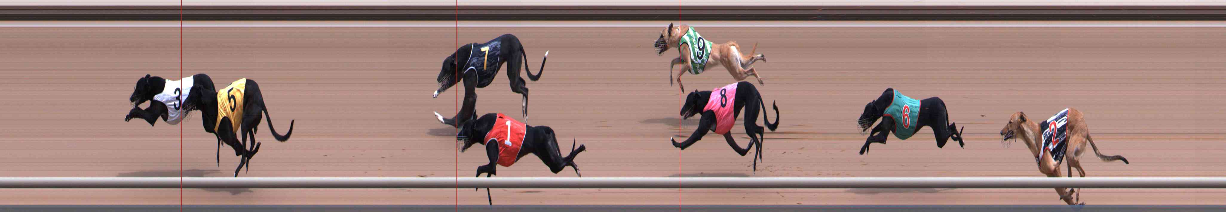 Photo finish for Healesville Race 2